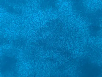 576/8